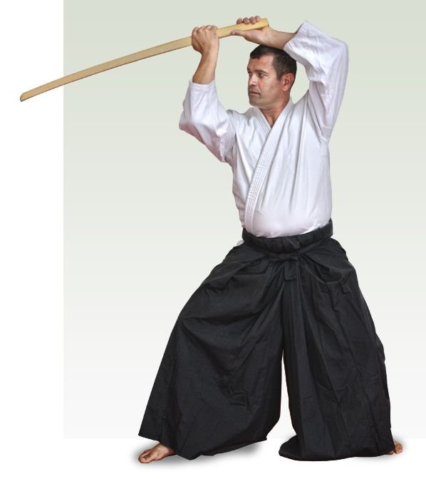 Aikido con Armas